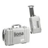 Baur Liona Online PD Testers - Image 2